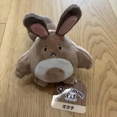 ポケモン オタチ ぬいぐるみALL STAR COLLECTION (S) - メルカリ