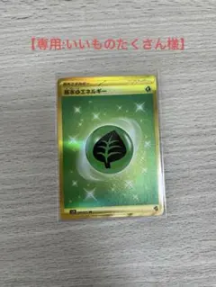 ポケモンカード　基本エネルギー　草　UR