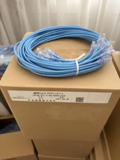 Cat 6 UTP LANケーブル SPG-PC-2 100本