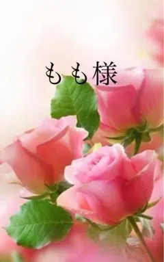 ＊もも様専用ぺージ＊