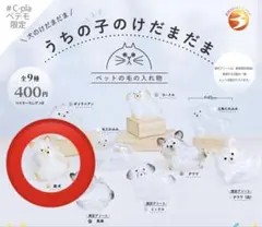 正規品 うちの子のけだまだま 犬 柴犬