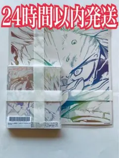 I 完全生産限定盤 BUMP OF CHICKEN (メガジャケ付) ヒロアカ