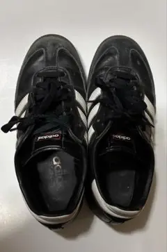 Item thumbnail for item 58e28857-7e86-47c1-8e69-55870493da4a