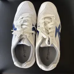 Item thumbnail for item c4b34969-9fc7-4efc-a772-b196a4f354df