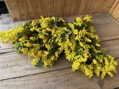 みずたま様 リクエスト 2点 まとめ商品