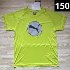 プーマ　半袖　Tシャツ　スポーツ　サッカー　ドライTシャツ　150