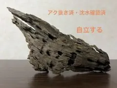 2025年最新】マシンガンウッドの人気アイテム - メルカリ