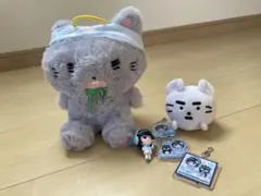 ニャンオェちゃん ちびぬいキーホルダー　ano あのちゃん 完売 あのちゃん ano ニャンオェちゃん 着せ替え ぬいぐるみ ちびぬい