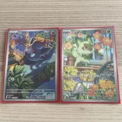 ポケモンカード ニャオハ ゾロア AR 2枚セット スターターセットex収録