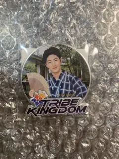 佐野玲於 アルミマグネット