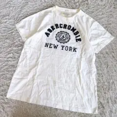 アバクロンビー&フィッチ Tシャツ XL 白 ビッグロゴ 刺繍 アップリケ 希少