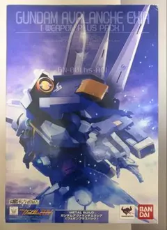 METAL BUILD 鋼彈00 雪崩型能天使鋼彈(武裝強化組)