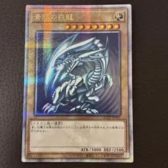 遊戯王 青眼の白龍 QCCP-JP001 25thシークレット クオシク