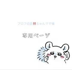 プロフ必読‼️ちゅんママ様 リクエスト 2点 まとめ商品