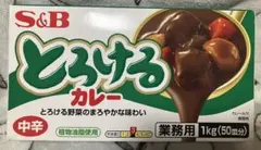 S&B とろけるカレー 中辛 業務用 1kgのサムネイル