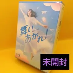 Item thumbnail for item a8b43604-0b74-4673-af5c-4a4a6f9e67b4