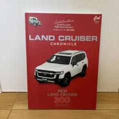 Item thumbnail for item fbb8d8df-0ffa-4c0e-bc23-a3cd0edae40e