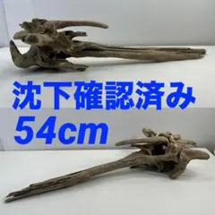 G86 爬虫類 両生類 シェルター バスキング 流木 - メルカリ