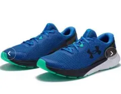 Item thumbnail for item 48aea47e-1edf-428d-9fae-3244faac9685