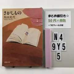 さがしもの N4-5Y9.5