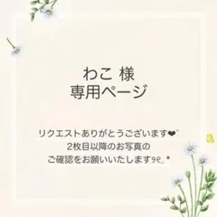 わこ様 おまとめ4点