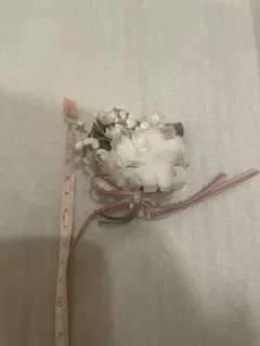 Item thumbnail for item 21c83fbc-6f78-4250-bd8e-eea3c17cb63f