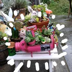 ringo様❢専用です(#^^#)♡