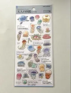 coco【プロフ必読】様 リクエスト 4点 まとめ商品