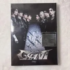 straykids スキズ GIANT アルバム 開封済 マイル A盤