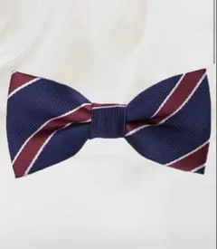 【新品未使用】蝶ネクタイ　入園　入学　結婚式　セレモニーネイビー　幼稚園　小学校