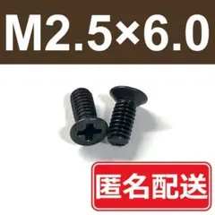 “2 병 ~ 개수 지정 가능” M2.5 x 6 플레이트 헤드 소형 스크류 우드 워치 백 커버 정밀도 6.0