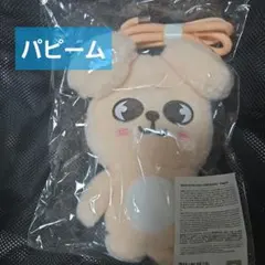 SKZOO Stray Kids Soul Run It Crossback Puppym