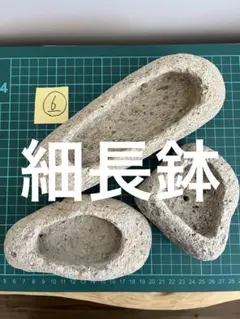 2026年最新】植木鉢 まとめ売りの人気アイテム - メルカリ