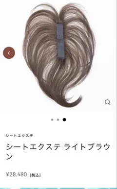 BLEND & Go ウィッグ シートエクステ ハニースモーキーアッシュ - メルカリ