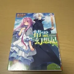 精霊幻想記 8 追憶の彼方