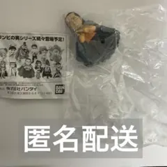 『匿名配送』ワンピの実　第九海戦　クロコダイル