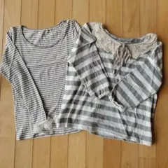 earth music & ecology 長袖Tシャツ グレー ストライプ