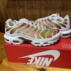 W AIR MAX PLUS “Orange グラデ“ メンズサイズ27cm