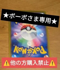 ★ボーボさま専用★⚠️他の方購入禁止⚠️