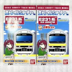 未開封未組立】Bトレイン Bトレ E233系0番台 中央線 2両×2箱セット
