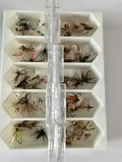 Item thumbnail for item 14319f82-798b-40cb-b023-7e6bdefb1ae0