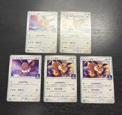 イーブイ　ジムプロモ　5枚まとめ売り