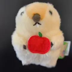 【おもちゃ】マーモットのもっとっと 　ぷちぶるマスコット