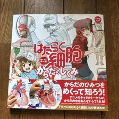 お値下げ☆ほぼ新品☆図鑑☆はたらく細胞☆めくって学べる！からだのしくみ
