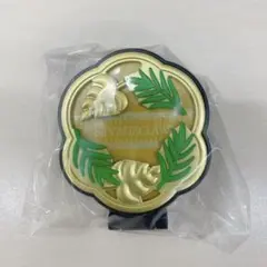 Item thumbnail for item b1a3706a-db91-4e23-8504-0d3690d5cf44