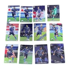 サッカー日本代表チップス　カード