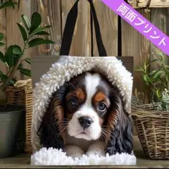 キャバリア トートバッグ 犬雑貨　ショッピング　エコバッグ　袋のサムネイル