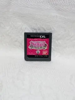 DS ニンテンドーDS フコウモリ モリリーのアンハッピーぷろじぇくと ゲーム