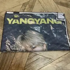 Item thumbnail for item 5568a17e-3cd8-4f53-bd0e-0d361769b829