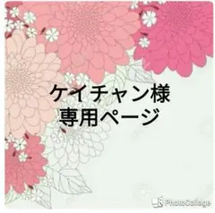 ケイチャン様専用ページ
